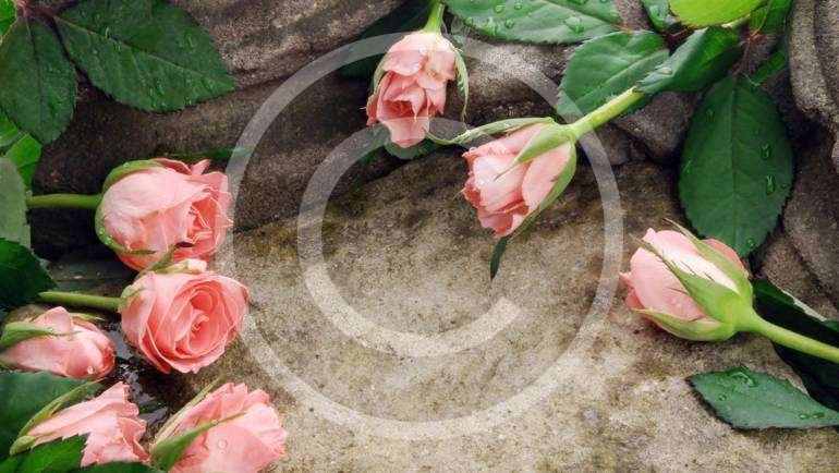 Coping Through the Holidays After Losing a Loved One
